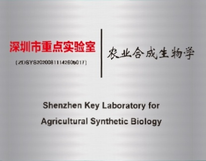8.深圳市合成生物学重点实验室.png