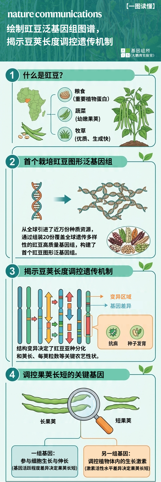 一图读懂.png