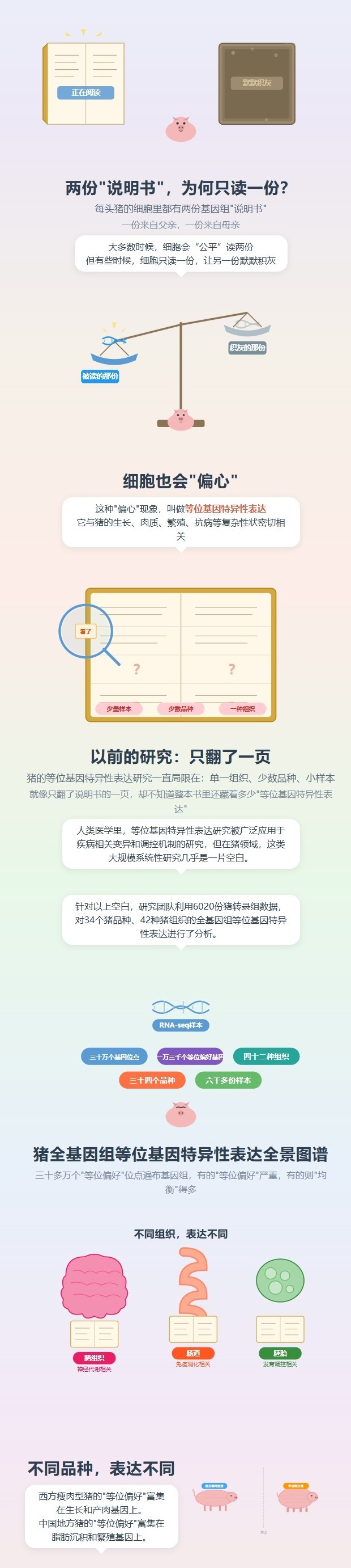 猪ASE科普长图.jpg